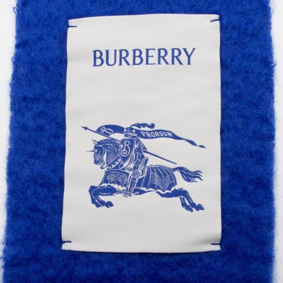 NWT GIFTABLE Burberry Fringe wool Scarf blue pristine condition - Picture 6 of 11